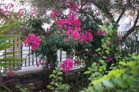 Glyfada Riviera Home Athén Kültér fotó