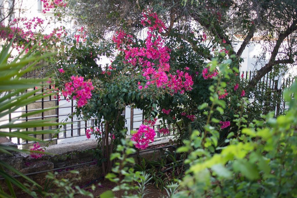 Glyfada Riviera Home Athén Kültér fotó
